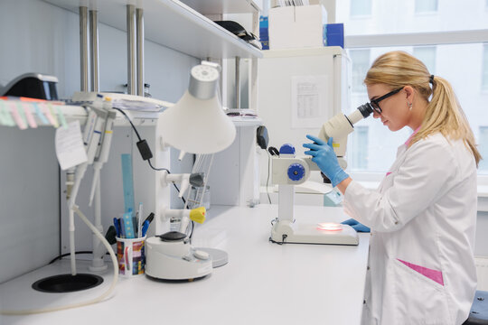 Woman Working With Microscope