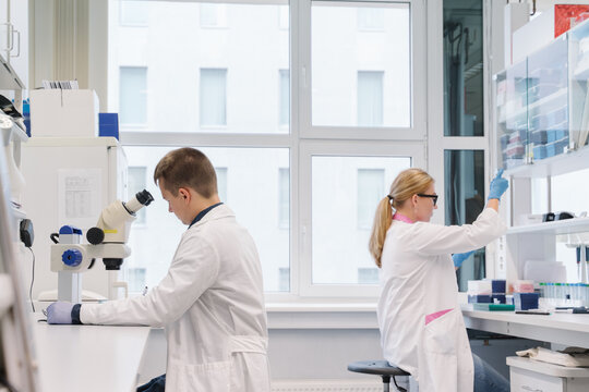 Researchers Working at Laboratory