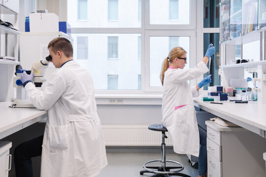 Researchers At Laboratory