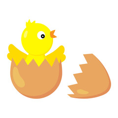 Vector illustration of a chick hatched from an egg.  Cute cartoon yellow chicken.