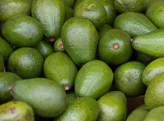 avocado on market