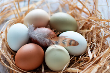 Organic eggs on hay and chicken feather close-up.