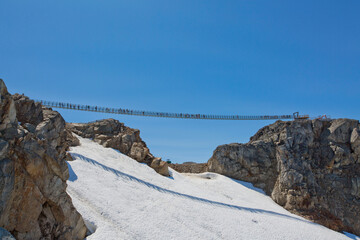 Whistler Peak Suspension Sky Bridge