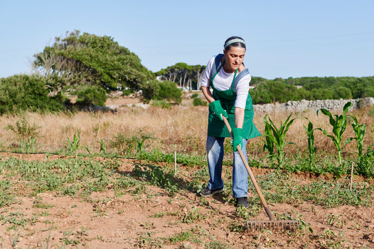 Woman using a rake in her vegetable garden