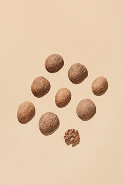 Pattern from walnuts shell and one nut.