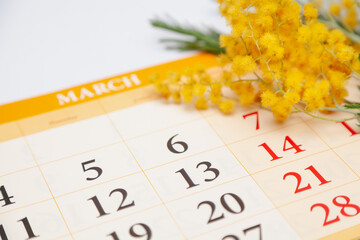 Calendar lies on white background. Above is branch of mimosa