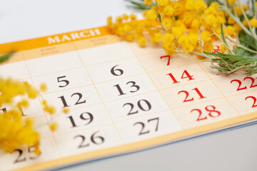 Calendar lies on white background. Above is branch of mimosa
