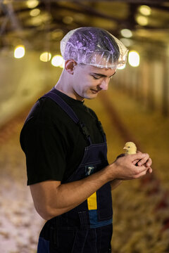 Farm worker inspecting poultry at industrial farm