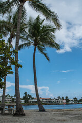 Marina and park with palm trees, grass, water in Palm Beach County, Florida part of the Florida Fish and Wildlife with sidewalk, boardwalks and bridges to walk and ride along the path, Cloudy, overcas