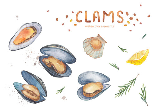 Watercolor illustration with mussels, clams, shells, lemon slices and rosemary sprigs on a white background. For your design. Perfect for menu design of restaurants, cafes and more.
