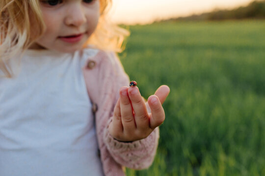Little child holding ladybug