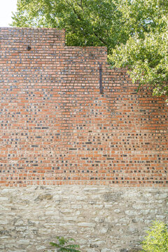 An old brick wall next to a tree