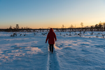 snow-covered spruce and hiking trail in winter