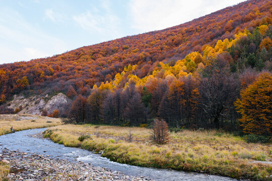 Patagonia River Scenery