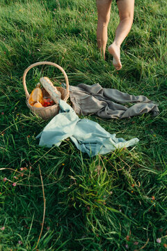 relaxation and picnic.