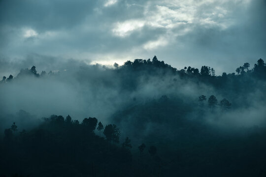 Fototapeta cloud forest