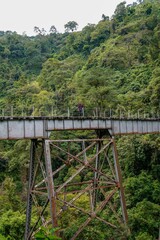 Fototapeta na wymiar Man standing on a big old bridge in the jungle. Old train tracks