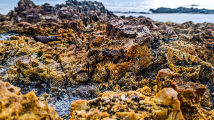Rocks at the sea