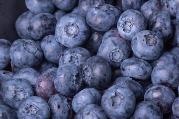 Fresh and organic natural ripe blueberries - berry background