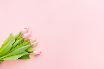 Spring flower. Bunch of Pink tulips place on white wooden background.