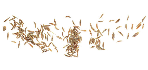 Caraway seeds isolated on a white background, top view. Cumin seeds. Jeera.