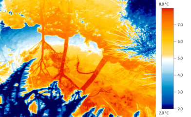 Thermal imaging thermogram of global warming of natural environment, lake, plants.