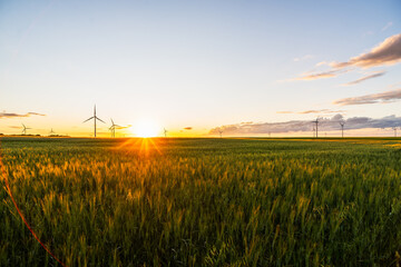 wind turbine in sunset