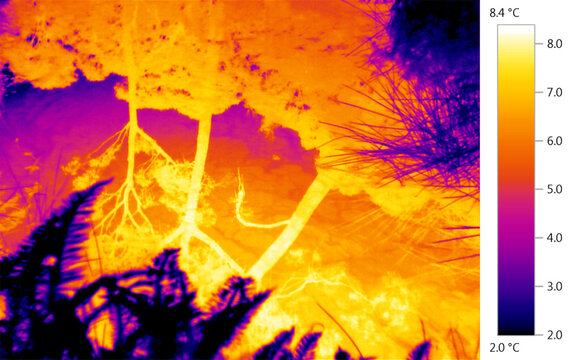 Reflection of natural environment and night sky in warm waters of lake. Thermal image.