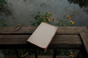 A book by the lake in the fall season