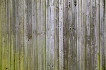 Background of wooden wall of old boards of gray and green color.