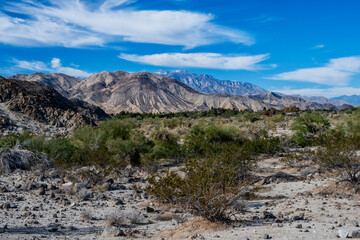 Desert scene with mountains, brush, mountains, sky and clouds