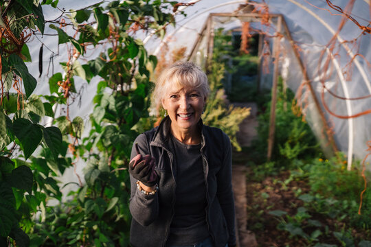 Energetic woman harvesting beens in greenhouse