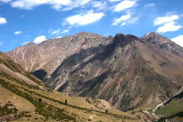 Fototapeta premium Mountain landscape on a sunny summer day. Snowy peaks, a mountain gorge with green grass and trees. Kyrgyzstan,