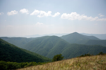 Fototapeta premium View of the mountains covered with green forest. Trees grow on the slopes of the mountains on a summer day. Clouds in the blue sky over green mountains on a sunny day.