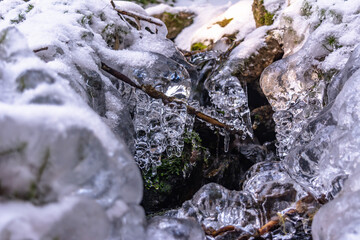 Iced Grass Plants Under Ice And Snow