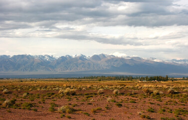 Mountain landscape on a sunny. Snowy peaks, a mountain gorge with green grass and trees....