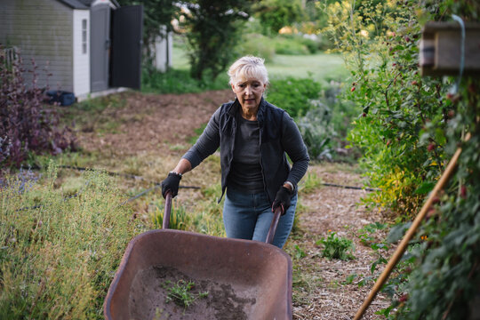 Mature woman working with wheelbarrow in garden.
