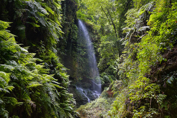 Wasserfall von Los Tilos auf La Palma