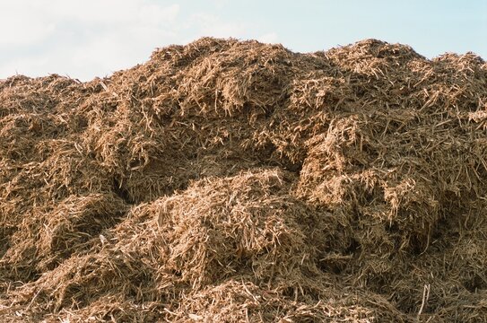 wood chips stacked up