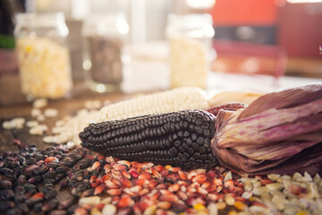 Different species and colors of corn on wooden table. Corn for tortillas on wooden table. Mexican food.
