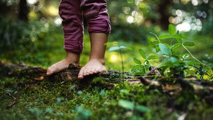Bare feet of small child standing barefoot outdoors in nature, grounding concept.