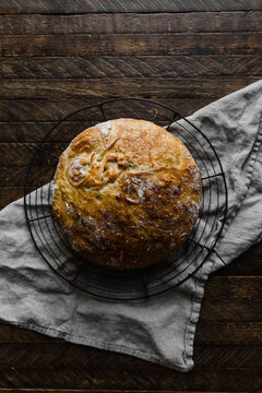 Freshly baked bread