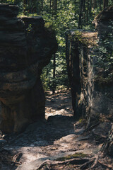 path between rock formation made from sandstones inside of a forest