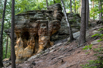 rock formation made from sandstones inside of a forest