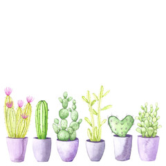 Watercolor cactus. Different kinds of cactuses in ceramic pots set. Hand drawn realistic house plants in green colors.