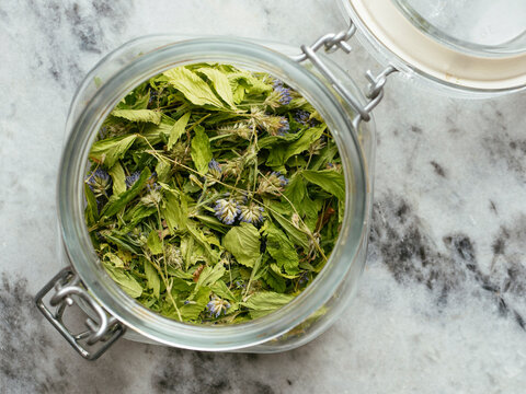 Blue fenugreek