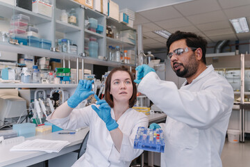 Scientists Analyzing Samples In A Laboratory