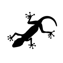 Black silhouette of lizard on white background. Vector Illustration