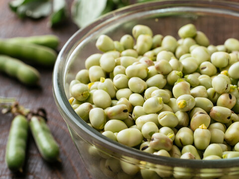 Fresh field beans