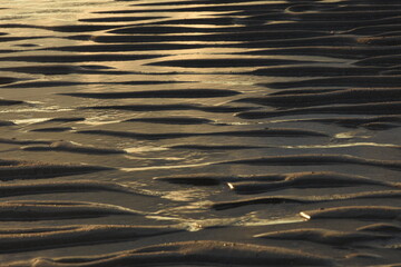 patterns of sand, wind and water on the beach of Cadzand 